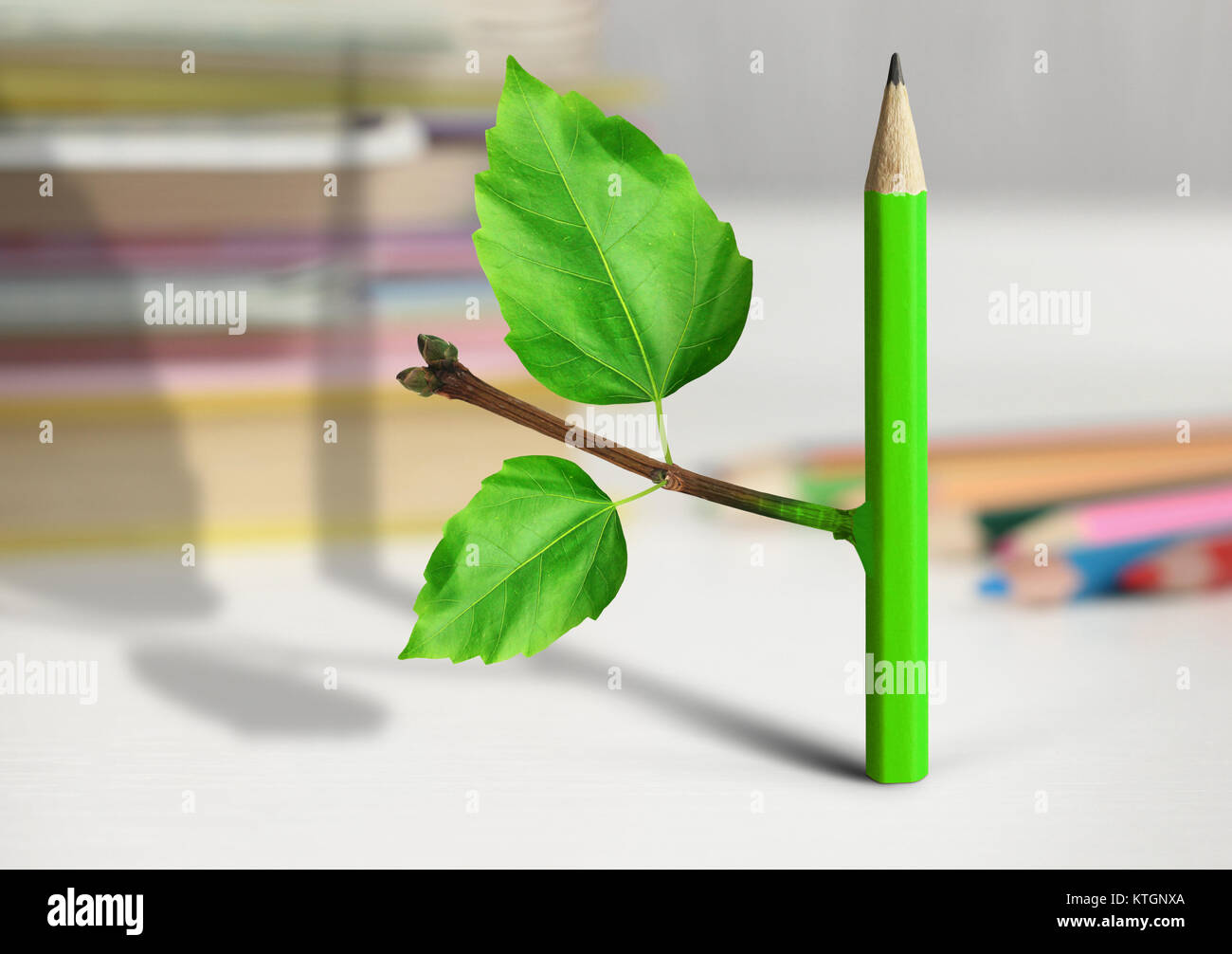 Kreative Idee, Konzept, Bleistift mit Blättern auf dem Tisch Stockfoto