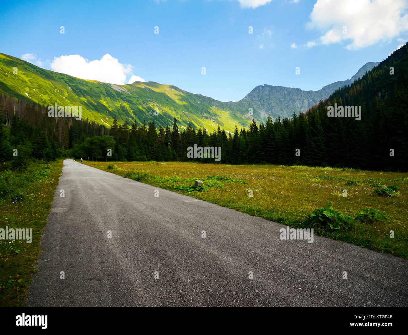 Schotterstraße führt durch schöne grüne Tal mit Bäumen und Bergen im Hintergrund zusammen mit blauen Himmel, Slowakei, Europa Stockfoto