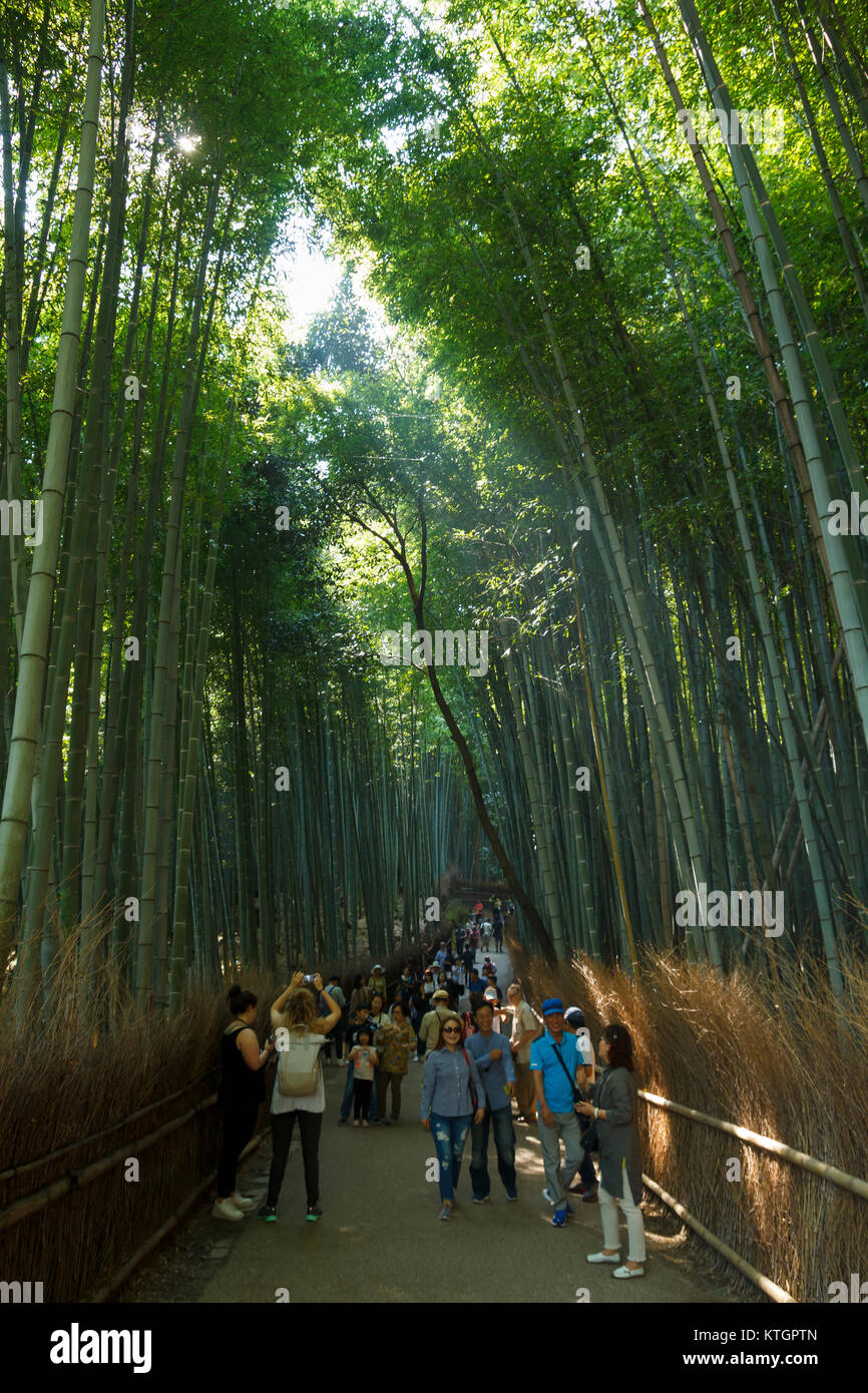 Menschen besuchen und Wandern im Bamboo Forest in Arashiyama, Kyoto, Japan Stockfoto