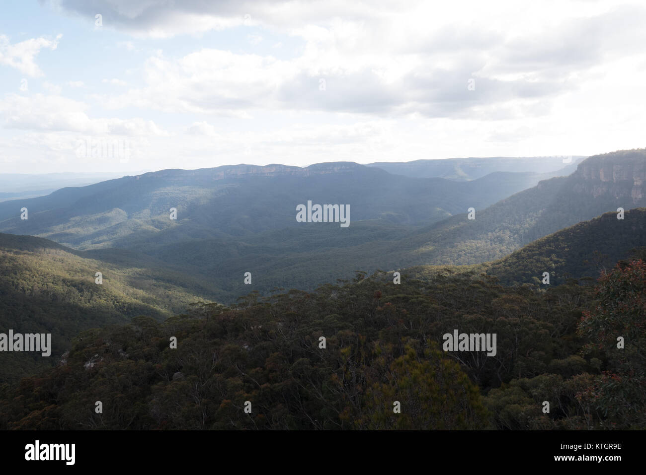 Blue Mountains Nationalpark Stockfoto