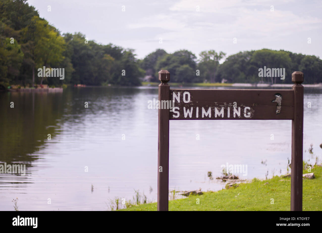 Flache Tiefenschärfe Foto von braunem Holz- Kein schwimmen Schild sitzt auf grassy Knoll am grünen See in Orchard Park, New York Stockfoto