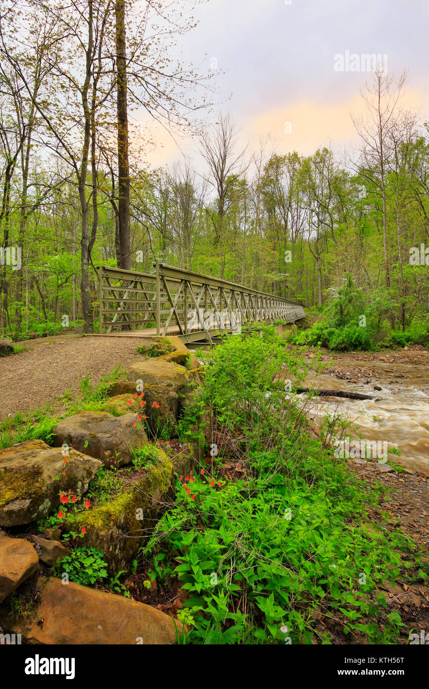 Brandywine River Bridge, Brandywine Gorge Trail, Cuyahoga Valley National Park, Brecksville, Ohio, USA Stockfoto