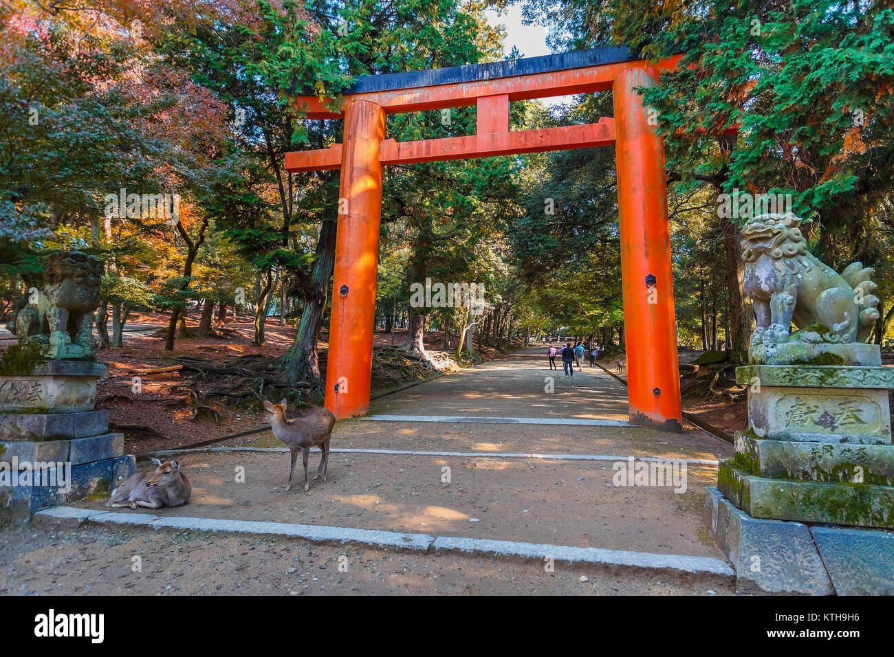 Torii bei Tamukeyama Hachimangu in Nara Nara, Japan - 16. NOVEMBER: tamukeyama Hachimangu in Nara, Japan am 16. November 2013. Von Todaiji T getrennt Stockfoto