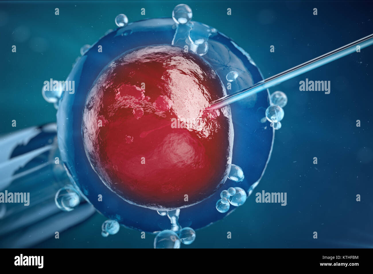 3D-Abbildung In-vitro-Fertilisation, Injektion von Spermien in die Eizelle, Behandlung der assistierten Reproduktion. Stockfoto