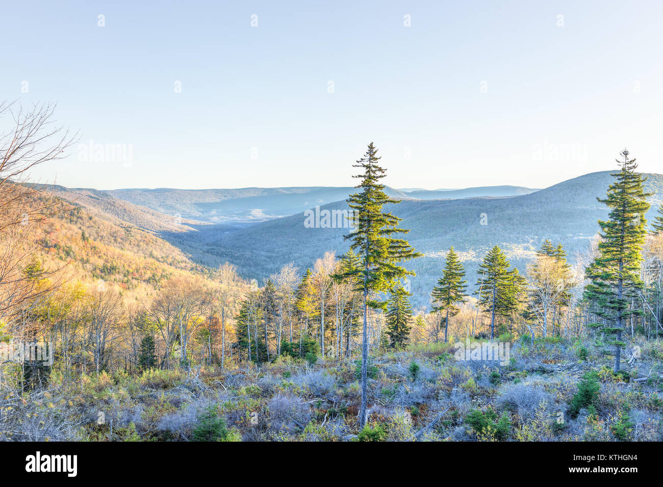 Blicken Sie von West Virginia Berge im Herbst fallen mit Laub- und Pinienbäumen in Morgen Sonnenaufgang Sonnenlicht Stockfoto