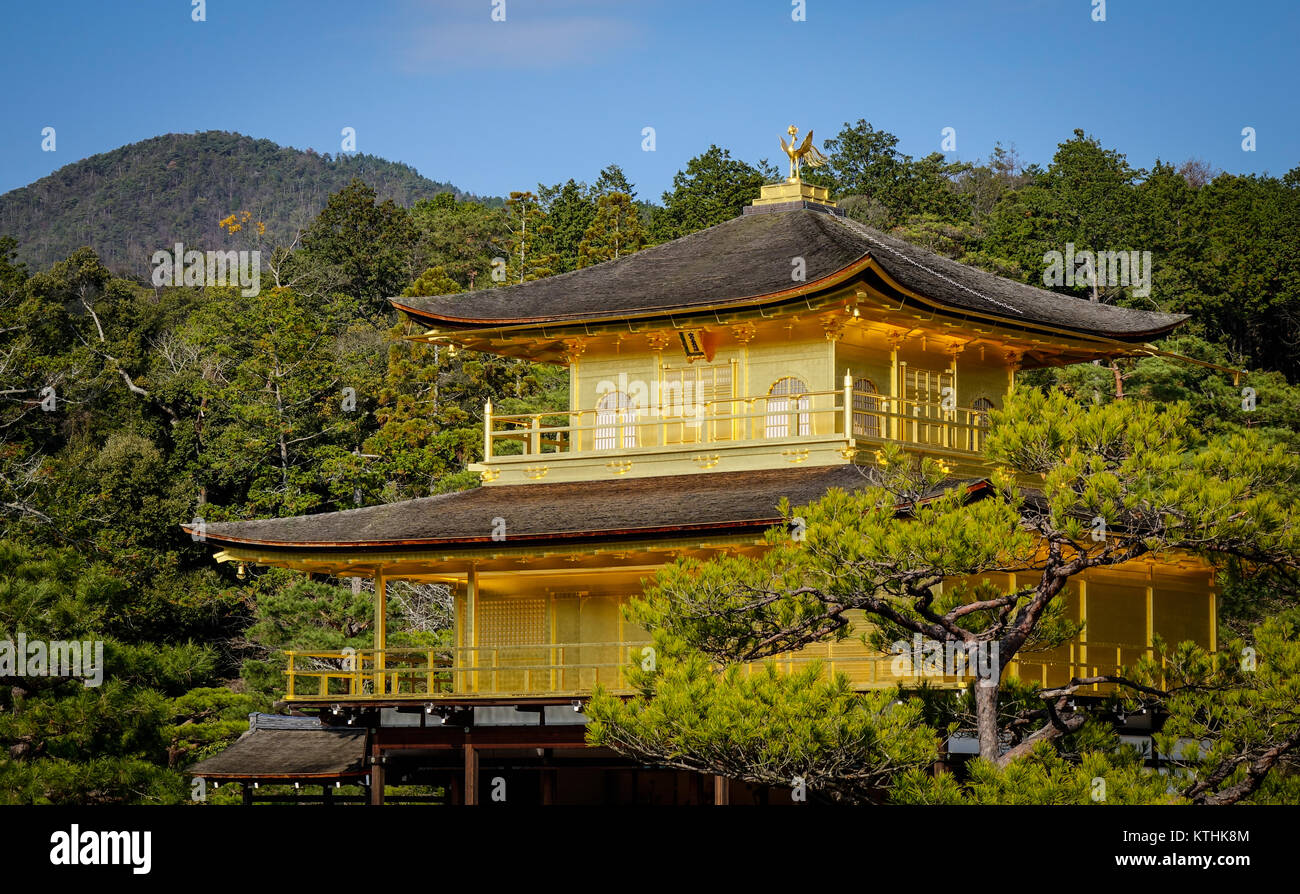 Kinkakuji Tempel (Goldener Pavillon) am Frühling Zeit in Kyoto, Japan. Stockfoto