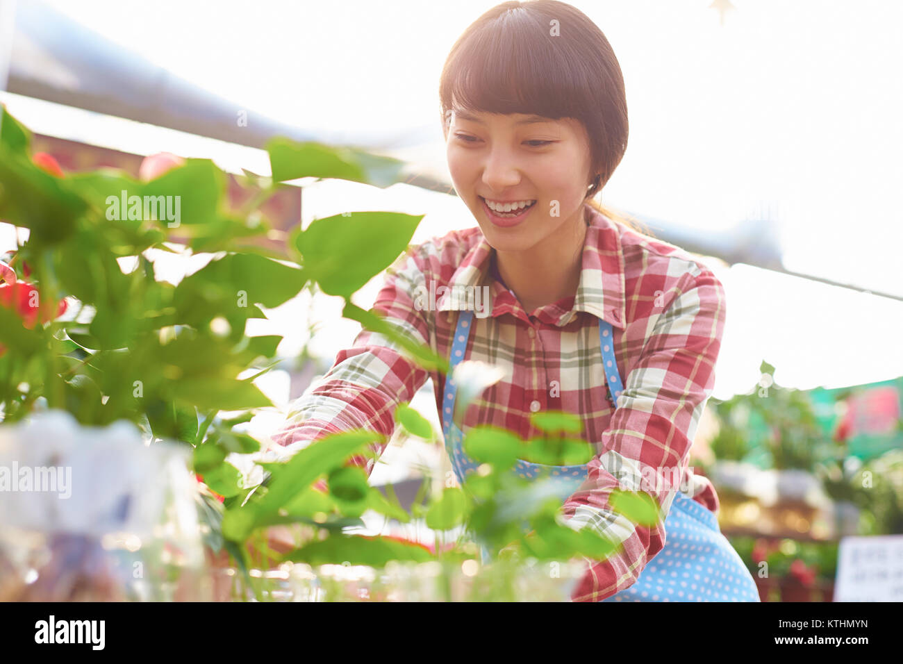 Eine schöne chinesische Frau Arbeiten in das Lächeln des Floristen an Kamera Stockfoto