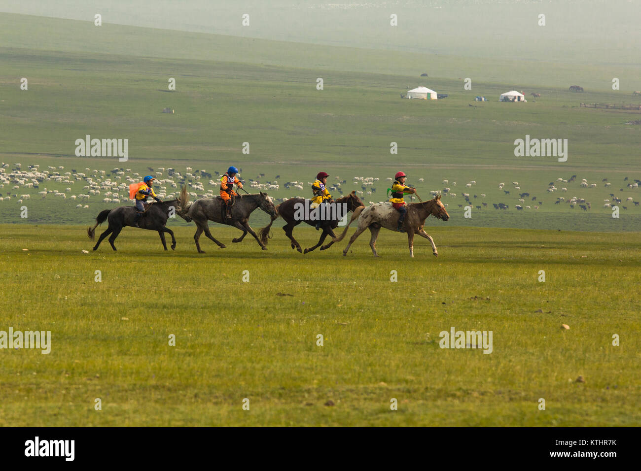 Pferd Rennen ist das wichtigste Ereignis in Naadam Festivals in der Mongolei. Dutzende von Pferden reiten durch die Jungen laufen Abstand von 12 bis 27 km im offenen Schritt Stockfoto