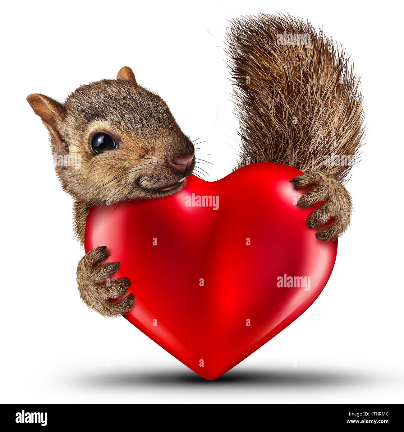 Valentine niedlichen Eichhörnchen als Saint Valentine feier Symbol mit einem freundlichen glücklich Wild Animal hält ein rotes Herz. Stockfoto