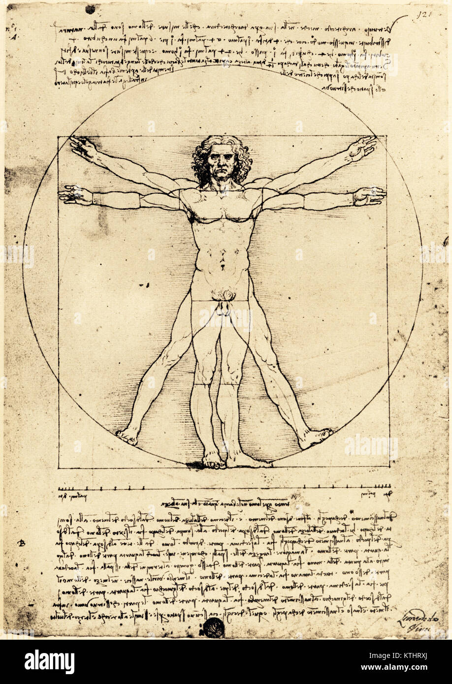 Vetruvian man, von Leonardo da Vinci erschuf c. 1480-1490. Die Zeichnung, die Proportionen des menschlichen Körpers zeigt, wurde vom Buch De architectura des römischen Architekten und Ingenieurs Marcus Vitruvius Pollio aus dem 1. Jahrhundert v. Chr. inspiriert. Stockfoto