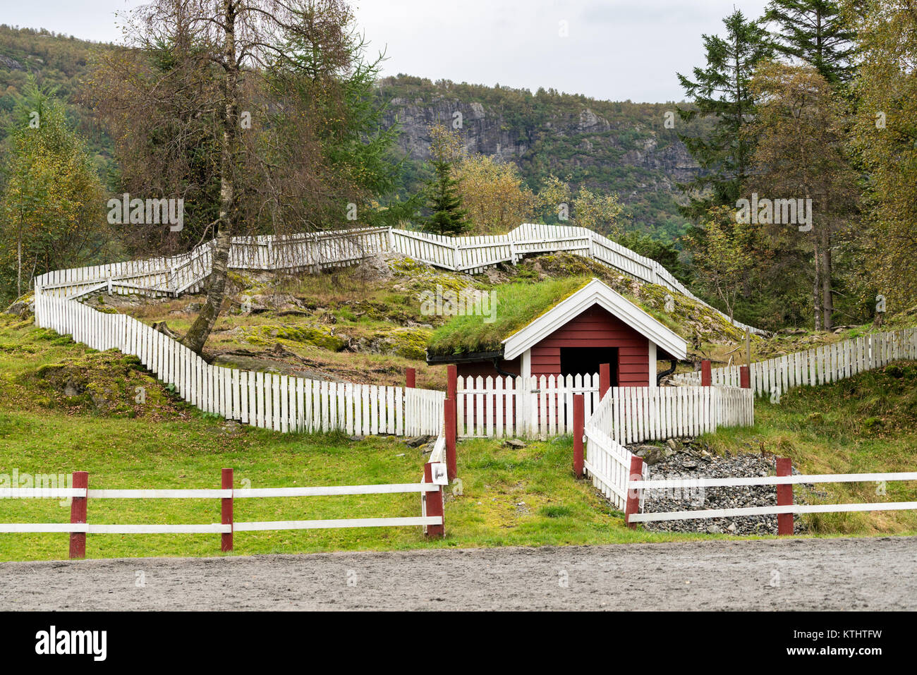 Grasnabe verwendet als Dacheindeckung auf Norwegische stabil Stockfoto