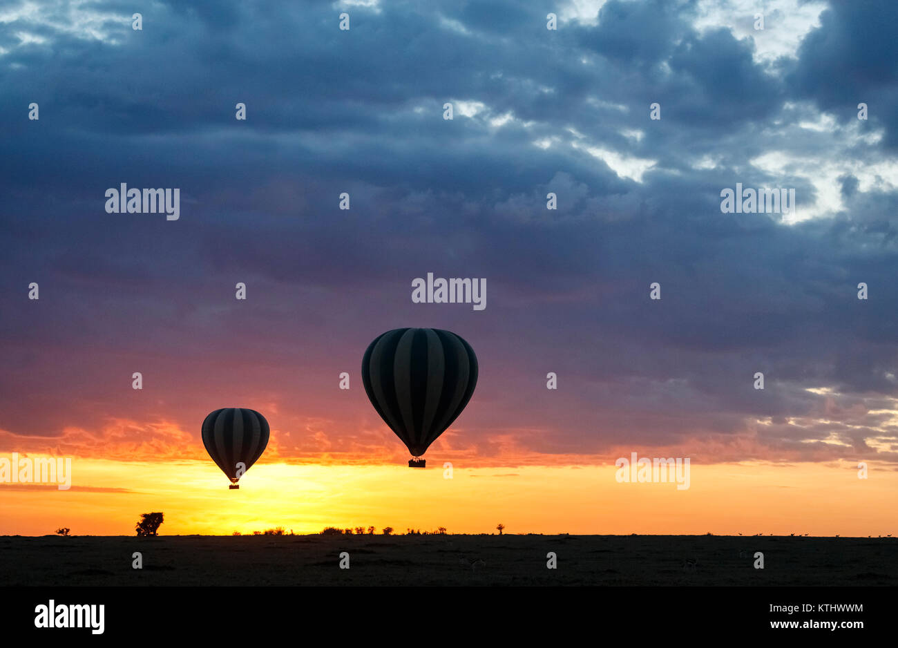Heißluftballons für Safari Wildbeobachtung steigen über die Savanne mit einer dramatischen, Colouful sunrise, Masai Mara, Kenia Stockfoto