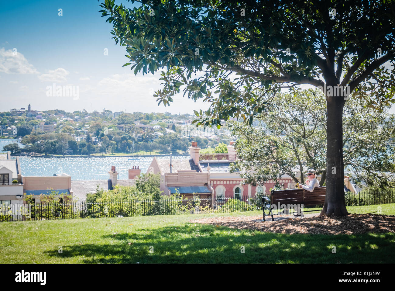 Alter Mann lesen außerhalb Buch auf einer Bank Stockfoto