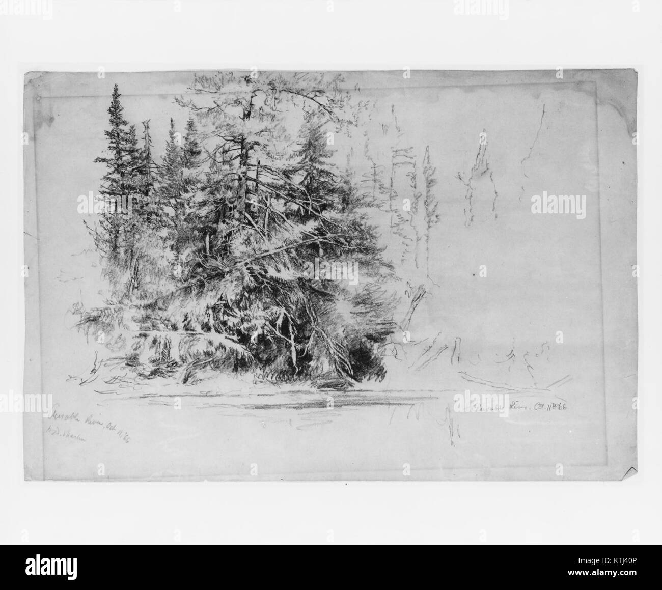 Der Ausable River, der in MET 205708 vorgestellt wurde, fließt durch eine malerische Landschaft, die für seine natürliche Schönheit und ökologische Bedeutung bekannt ist. Der Fluss ist ein wichtiges Merkmal der Umgebung. Stockfoto