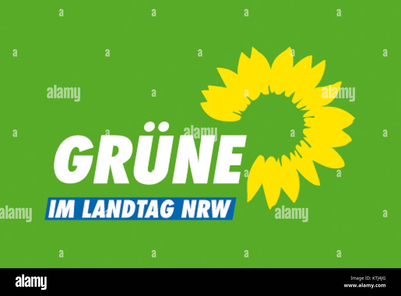 Die Gruenen im LT Farbe in Gruen Stockfoto