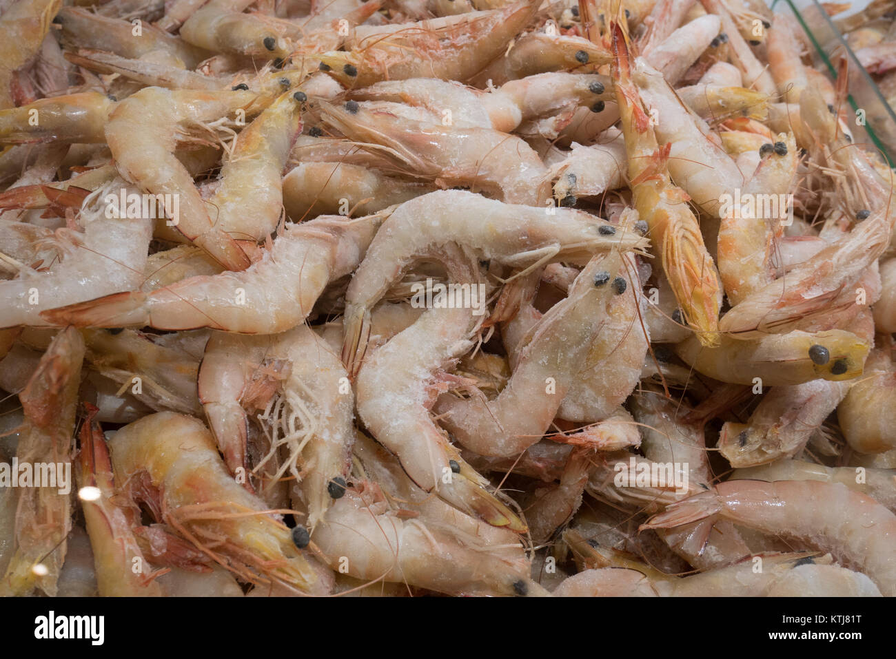 Rohen Meeresfrüchten im Supermarkt sydney Australien Stockfoto