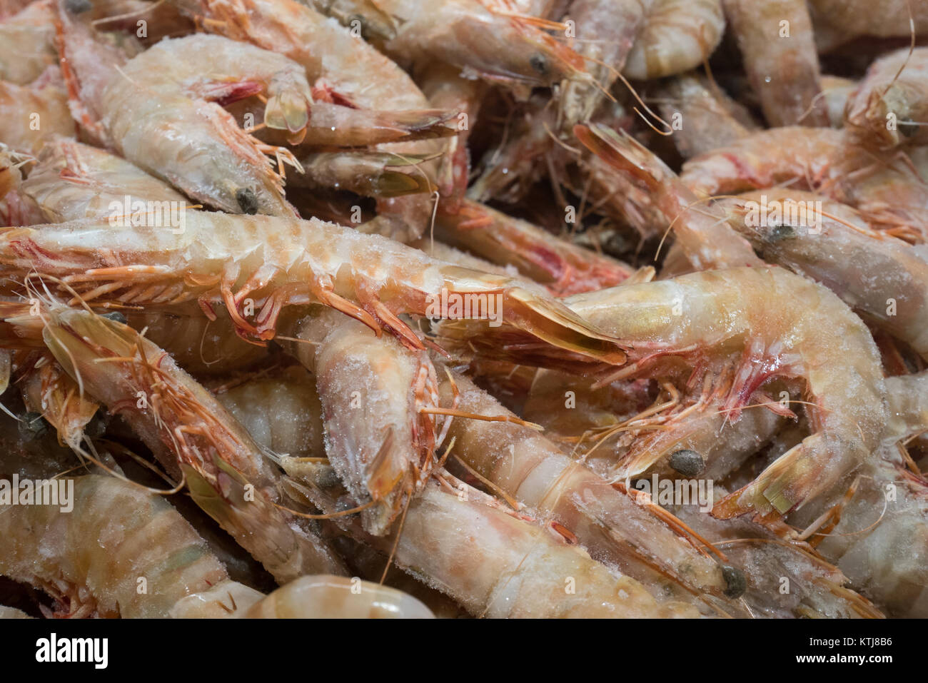 Rohe Meeresfrüchte in Lebensmittelgeschäft sydney Australien Stockfoto