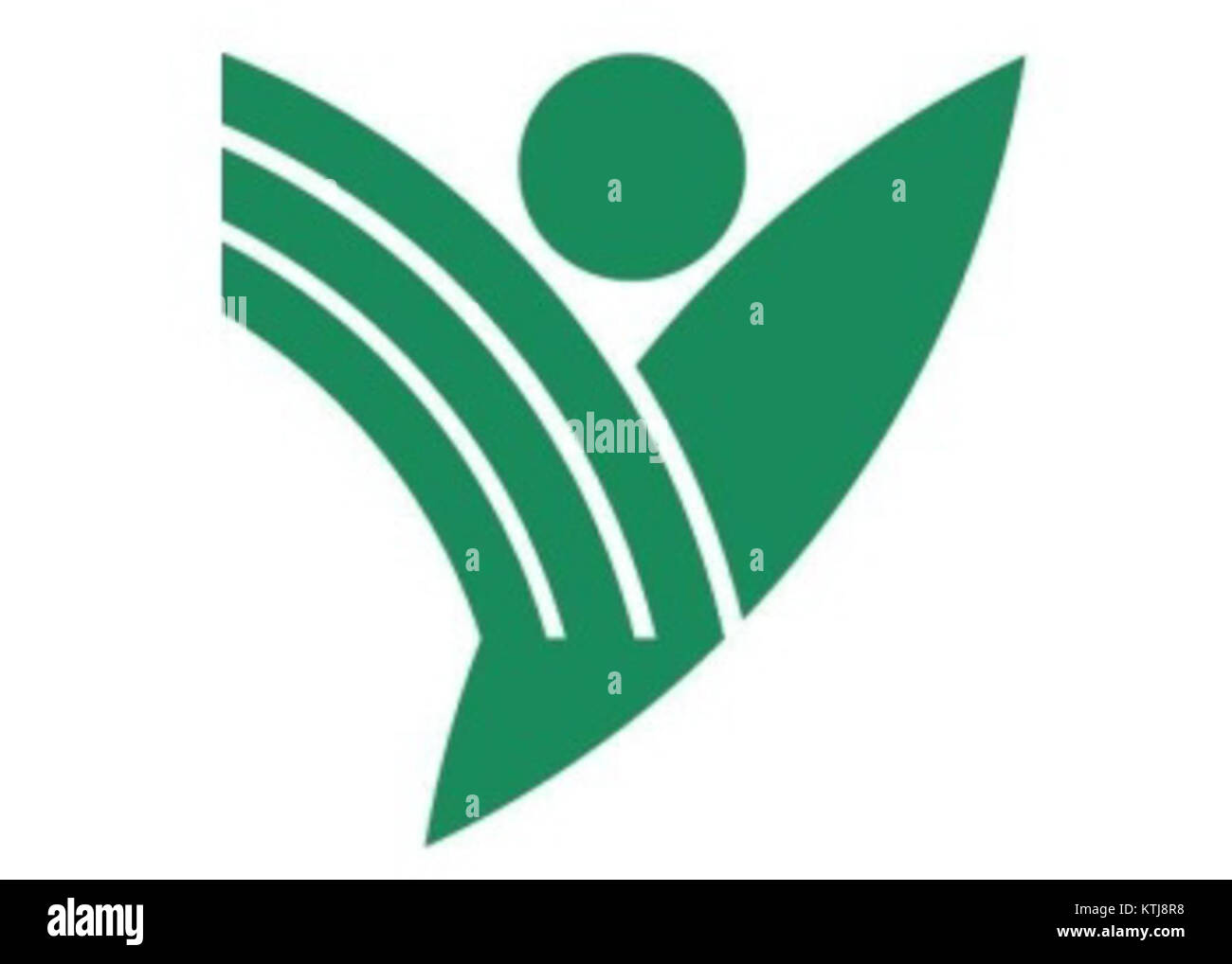 Fukuoka, die Flagge von Yanagawa, repräsentiert die Stadt in Japan und spiegelt ihre einzigartige kulturelle Identität und ihren regionalen Stolz wider. Stockfoto