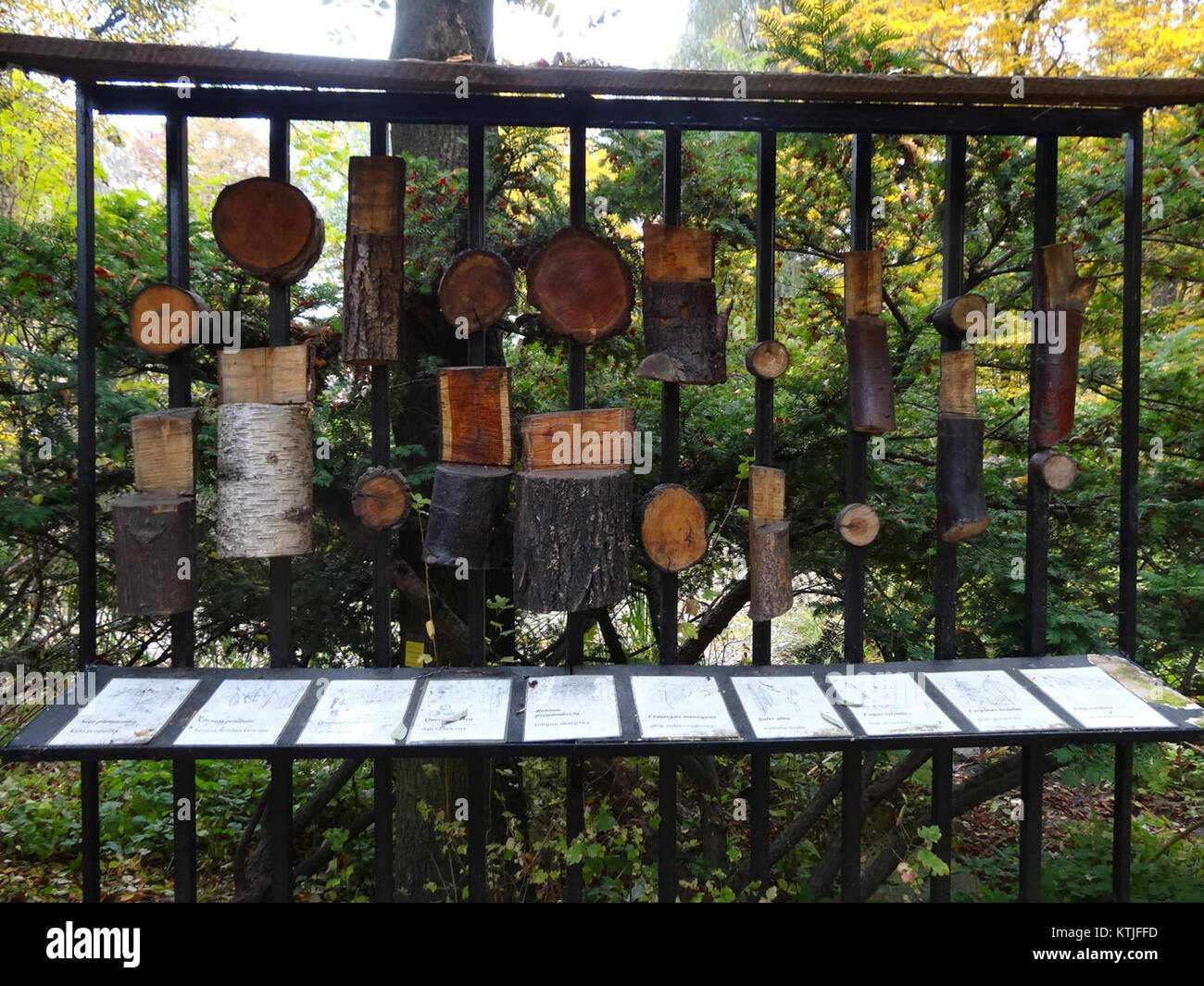 Das Arboretum UKW bezieht sich auf einen botanischen Garten oder Arboretum im Vereinigten Königreich, der sich auf Pflanzensammlungen und Erhaltungsbemühungen konzentriert, die als öffentliche Ressource etabliert wurden. Stockfoto