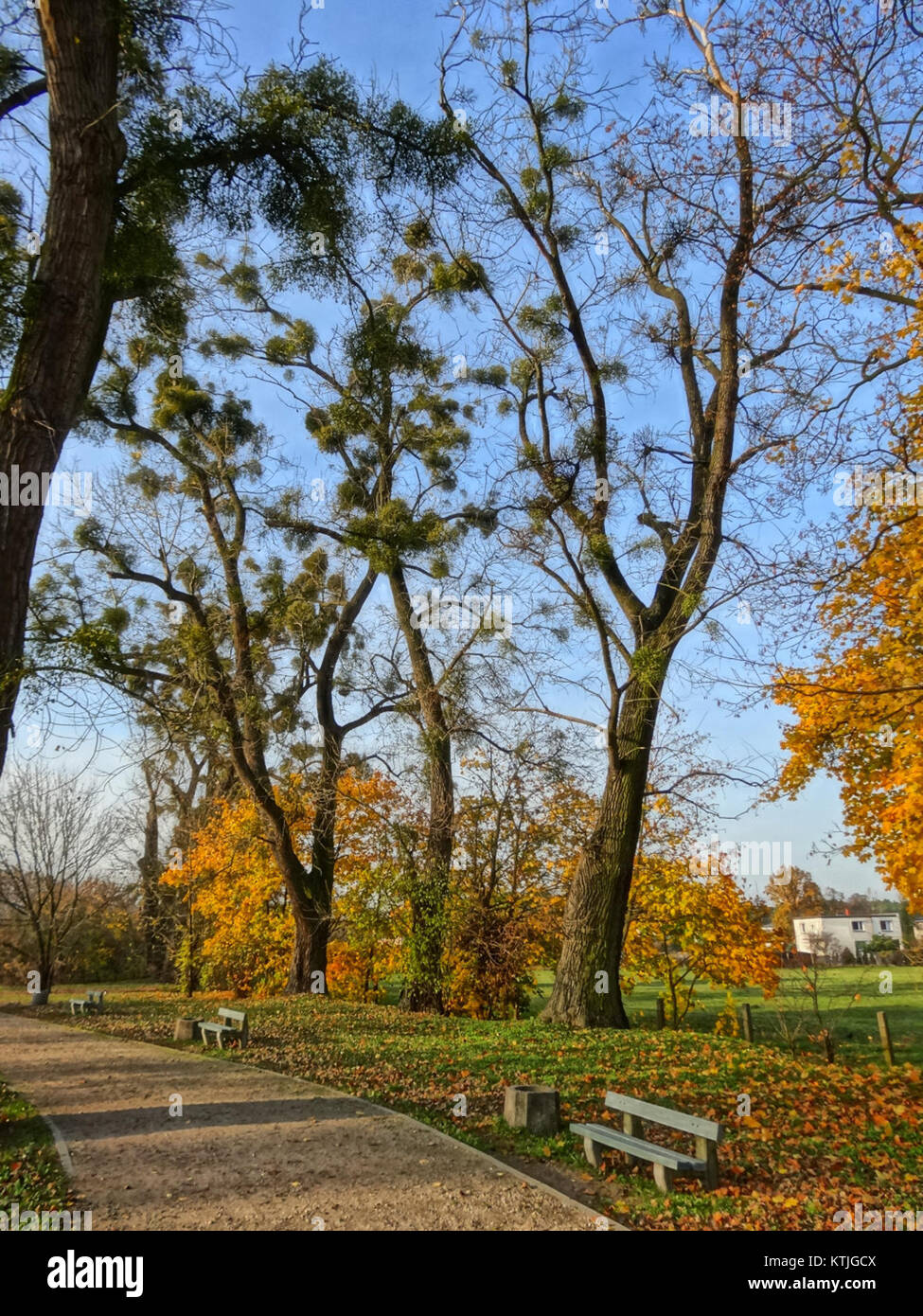 Die BDG KanalBydg Flisy bezieht sich auf eine Veranstaltung oder ein Projekt vom 14. Oktober 2013. Weitere Einzelheiten zu der Veranstaltung oder dem Kontext sind regionalen Studien oder Unterlagen zum Thema zu entnehmen. Stockfoto