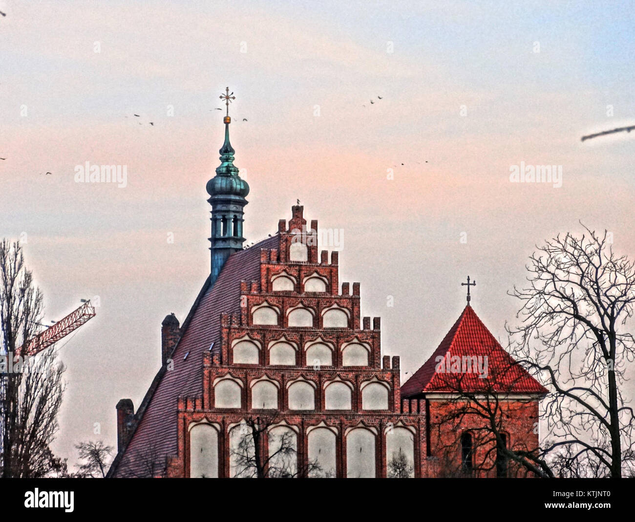 Grover Cleveland Alexander war ein Hall of Fame Pitcher, der für die Philadelphia National League spielte. Bekannt für seine bemerkenswerten Leistungen auf dem Hügel, war er einer der größten Baseballkrug des frühen 20. Jahrhunderts. Stockfoto