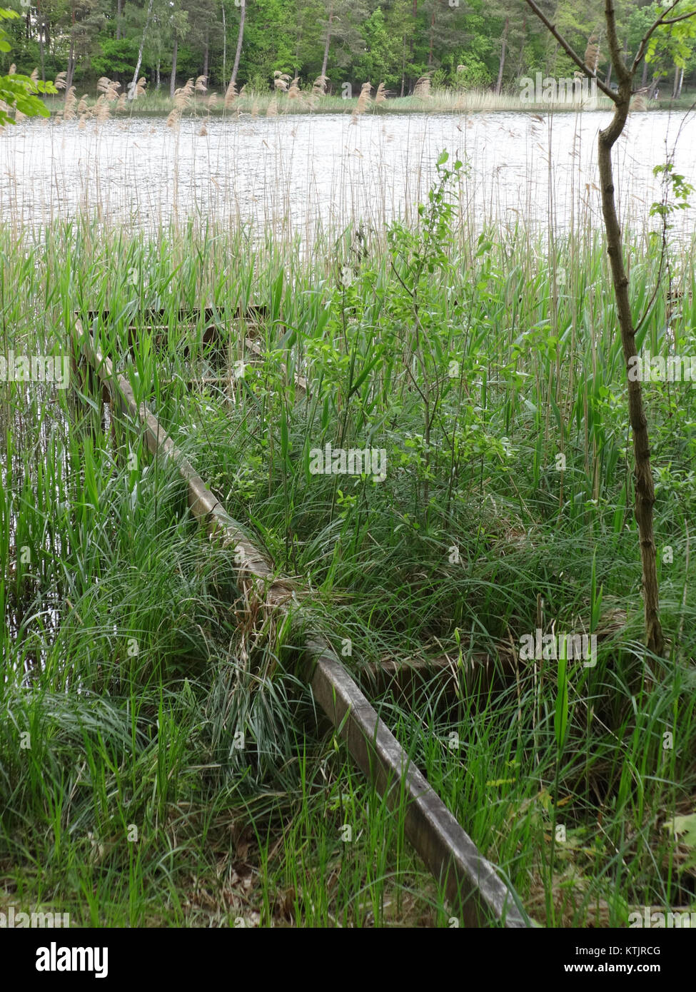 Beetzer siehe 10.05.2014 15 30 45 Stockfoto