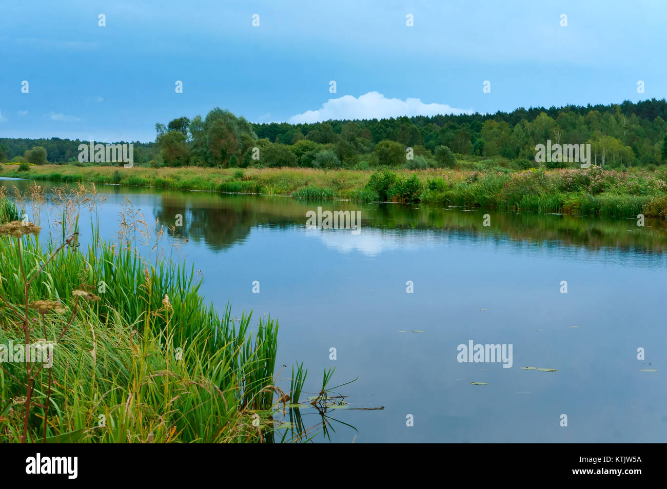 Der Fluss fließt unter die Dickichte, Big River Stockfoto