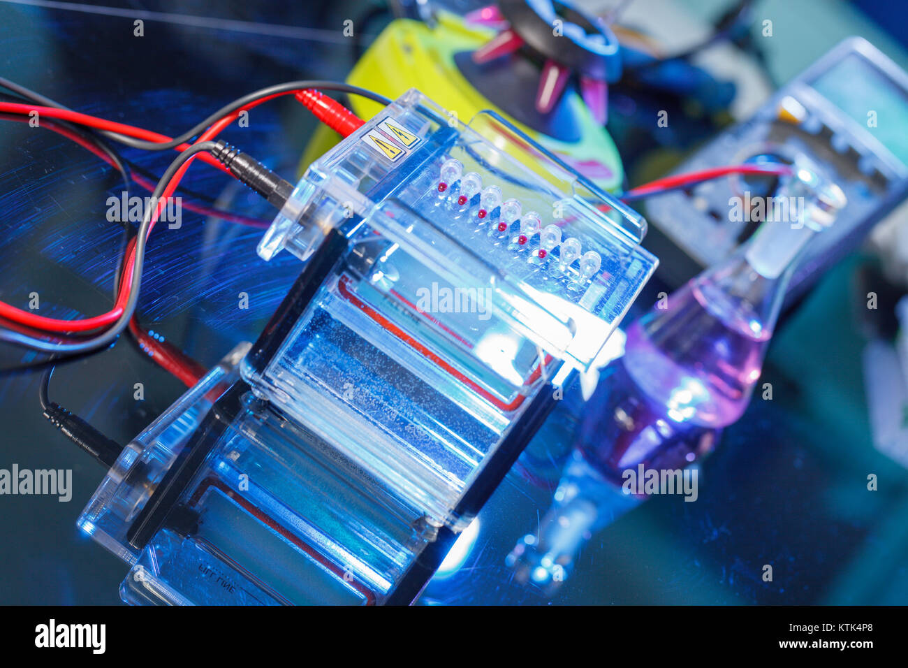 Laden verstärkt DNA-Proben auf Agarosegel mit Mehrkanal-pipette Stockfoto