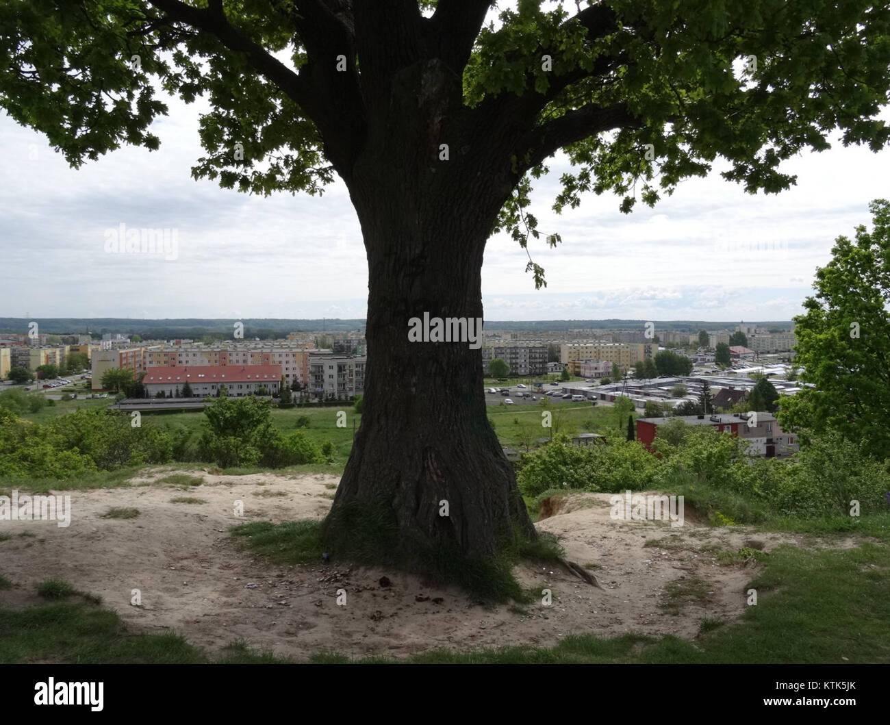 Diese Abbildung zeigt eine Ansicht des DabJP-Gebäudes, aufgenommen am 5. Juni 2015. Das Foto bietet eine klare Darstellung des Designs und der Umgebung in der Stadtlandschaft. Stockfoto