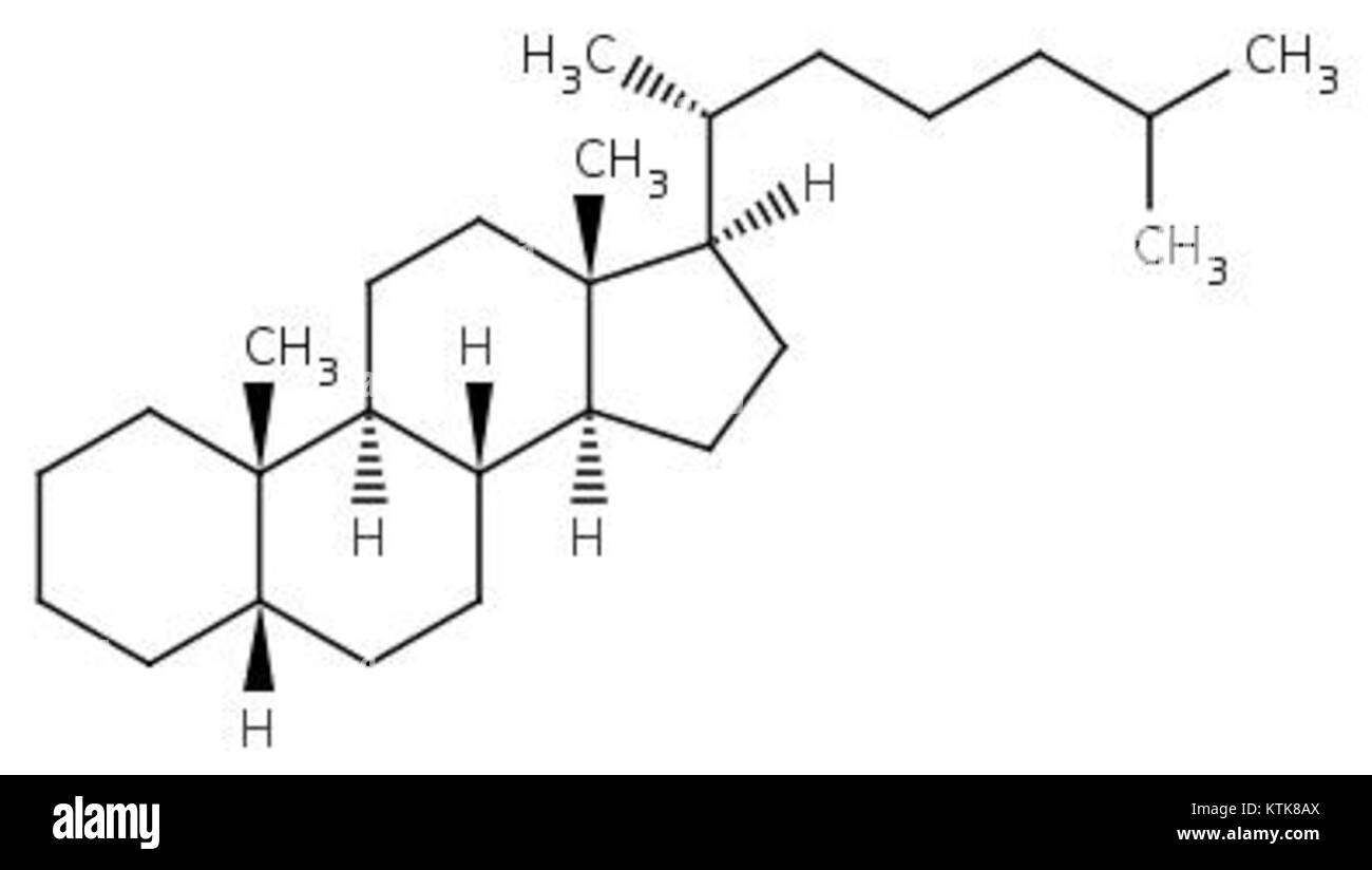 Betacolestano, eine chemische Verbindung, die in medizinischen und Ernährungsanwendungen verwendet wird. Es spielt eine bedeutende Rolle bei der Cholesterinverwaltung und Gesundheit, insbesondere bei der Senkung des LDL-Cholesterinspiegels. Stockfoto