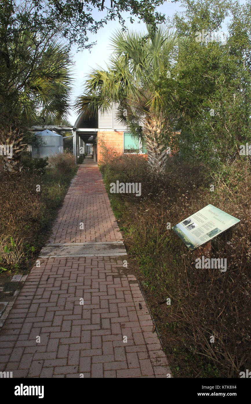Das Bentsen Rio Grande State Park Visitor's Center befindet sich in Südtexas und bietet Informationen über die natürliche Umgebung, die Tierwelt und die Freizeitaktivitäten des Parks. Er dient als Einstiegspunkt für Besucher, die die vielfältigen Ökosysteme des Parks erkunden. Stockfoto