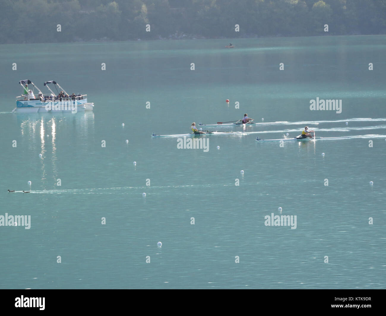 Dieses Bild wurde während der Ruderweltmeisterschaft 2015 aufgenommen und zeigt einen Moment des Ereignisses. Der Wettbewerb brachte Athleten aus der ganzen Welt zusammen, um an verschiedenen Ruderveranstaltungen teilzunehmen und dabei sportliches Können und sportliche Leistung auf höchstem Niveau zu demonstrieren. Stockfoto