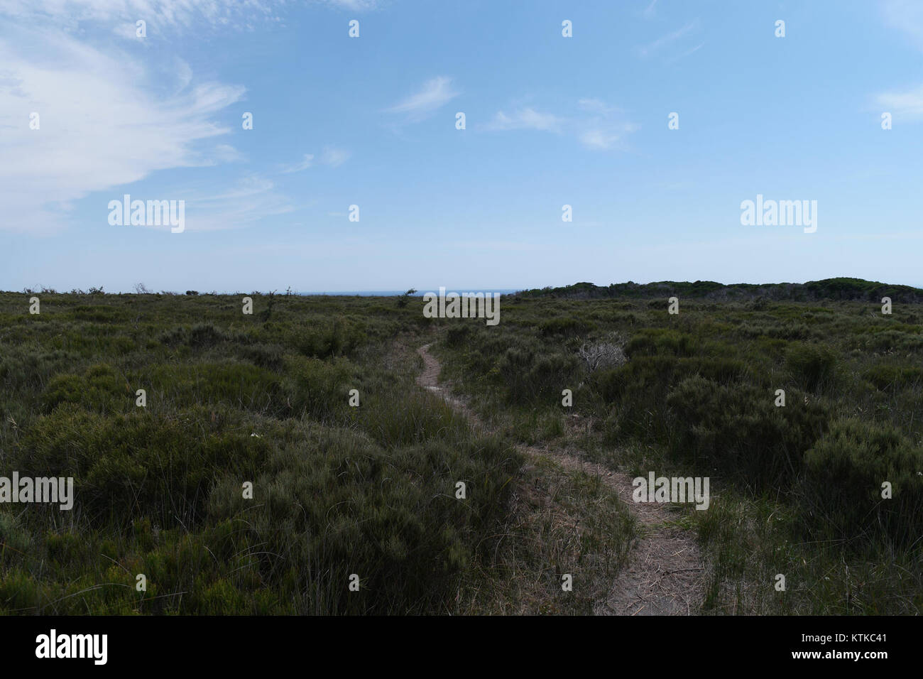 Dieses Foto zeigt die malerische Landschaft des Ben Boyd National Park in New South Wales, Australien. Der Park ist bekannt für seine Schönheit an der Küste, seine reiche Tierwelt und seine vielfältigen Ökosysteme. Stockfoto
