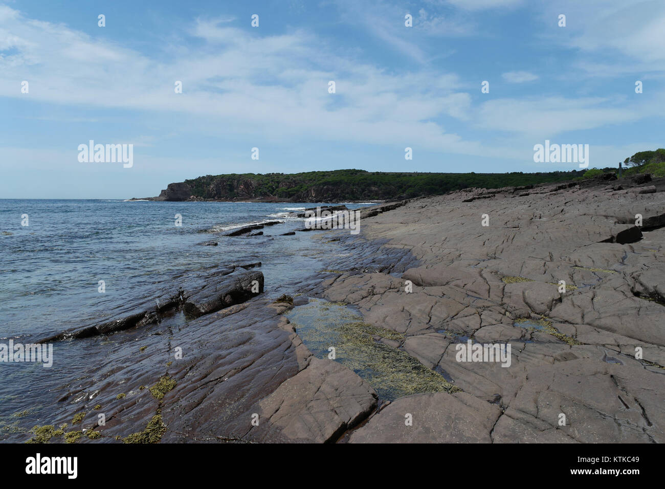 Dieses Bild zeigt den Ben Boyd National Park in New South Wales, Australien. Der Park ist bekannt für seine vielfältigen Ökosysteme, atemberaubende Küstenlandschaften und sein reiches Naturerbe. Stockfoto