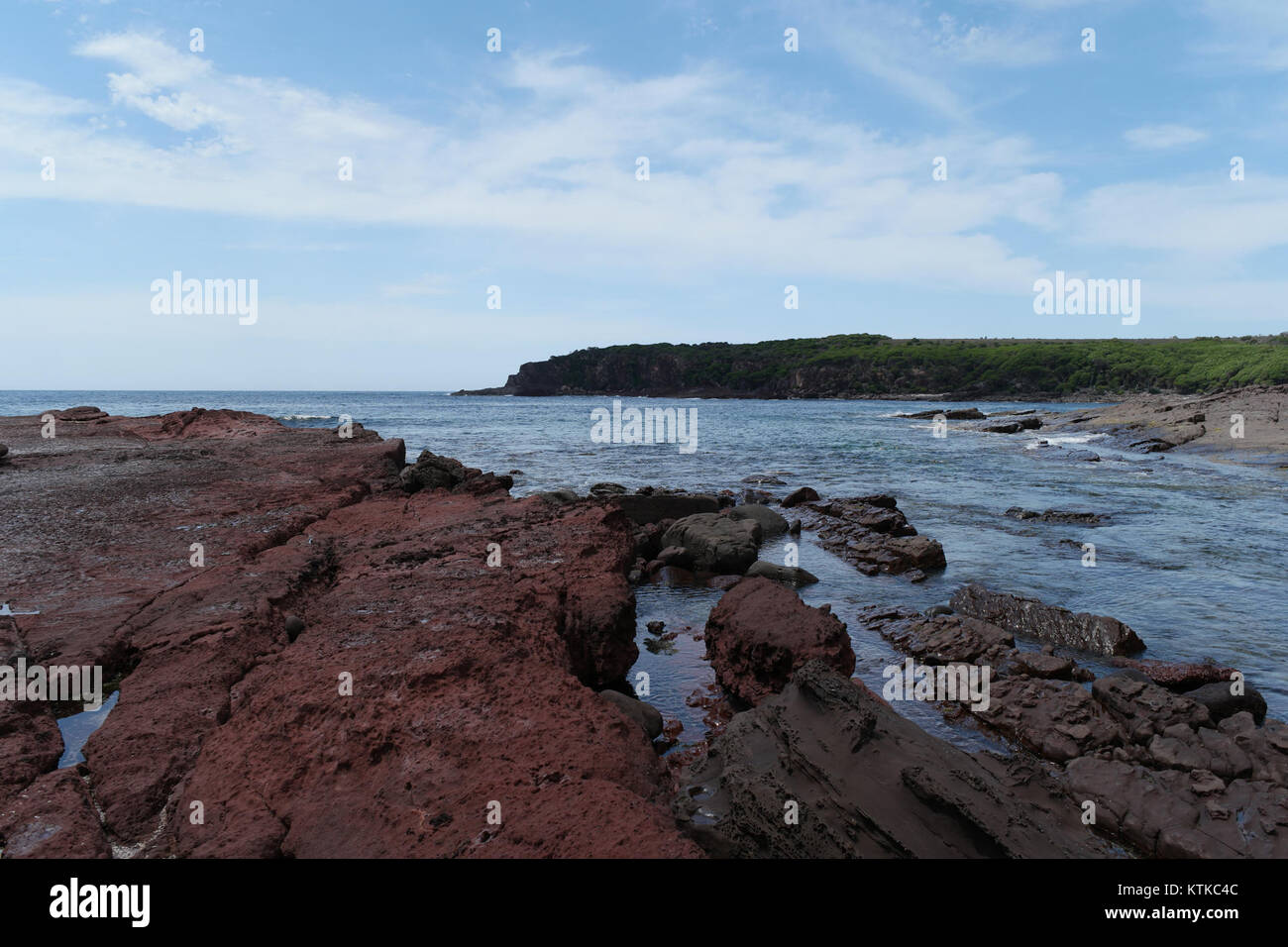 Der Ben Boyd National Park liegt an der Südküste von New South Wales, Australien. Der Park ist bekannt für seine vielfältigen Küstenökosysteme, einschließlich zerklüfteter Klippen, Sandstrände und einzigartiger Lebensräume. Stockfoto