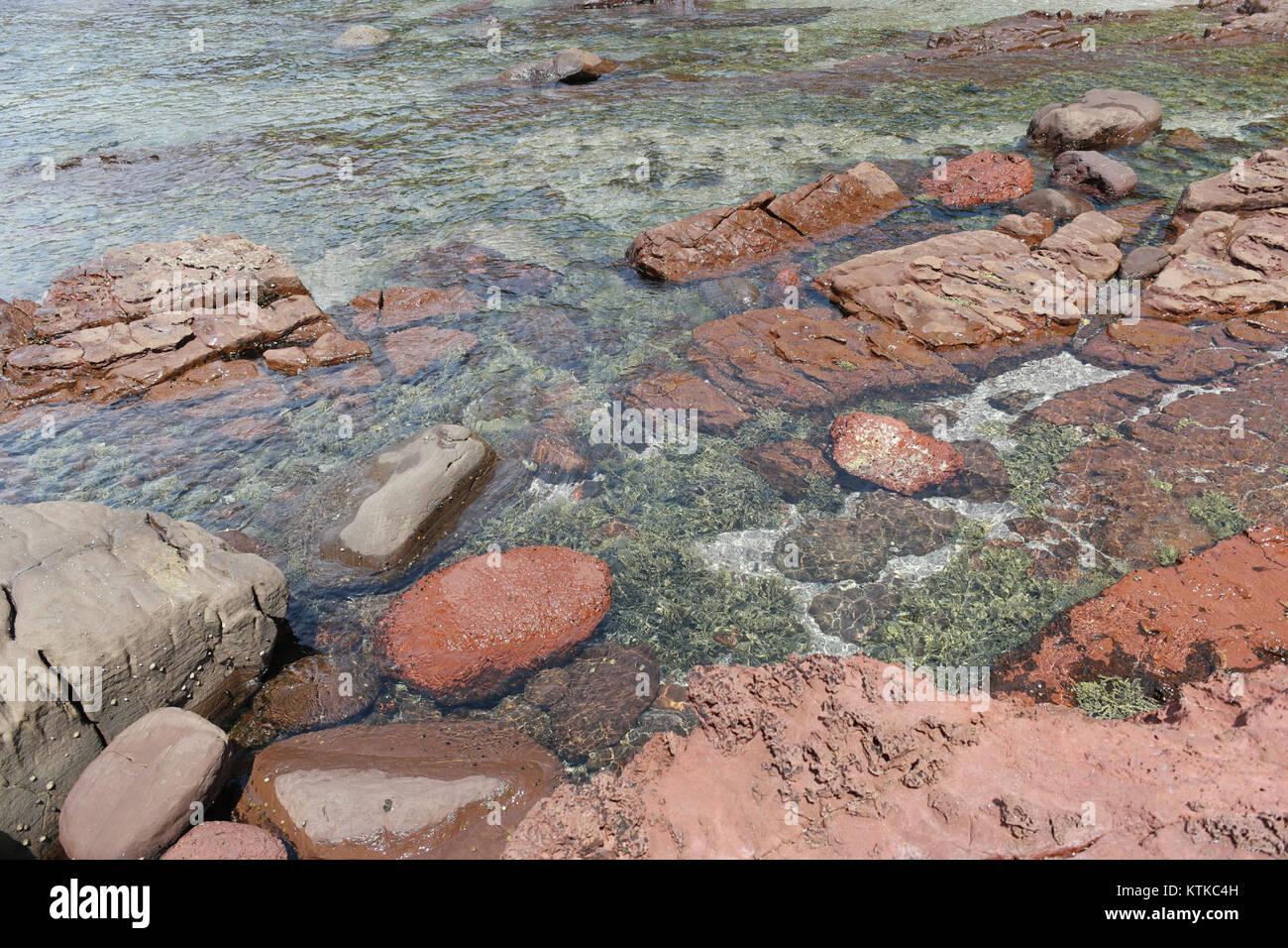 Der Ben Boyd National Park in New South Wales ist bekannt für seine Schönheit an der Küste, die vielfältige Tierwelt und die malerische Landschaft. Es bietet Wanderungen, Camping und Wildtierbeobachtungsmöglichkeiten und schützt die natürlichen Ökosysteme. Stockfoto