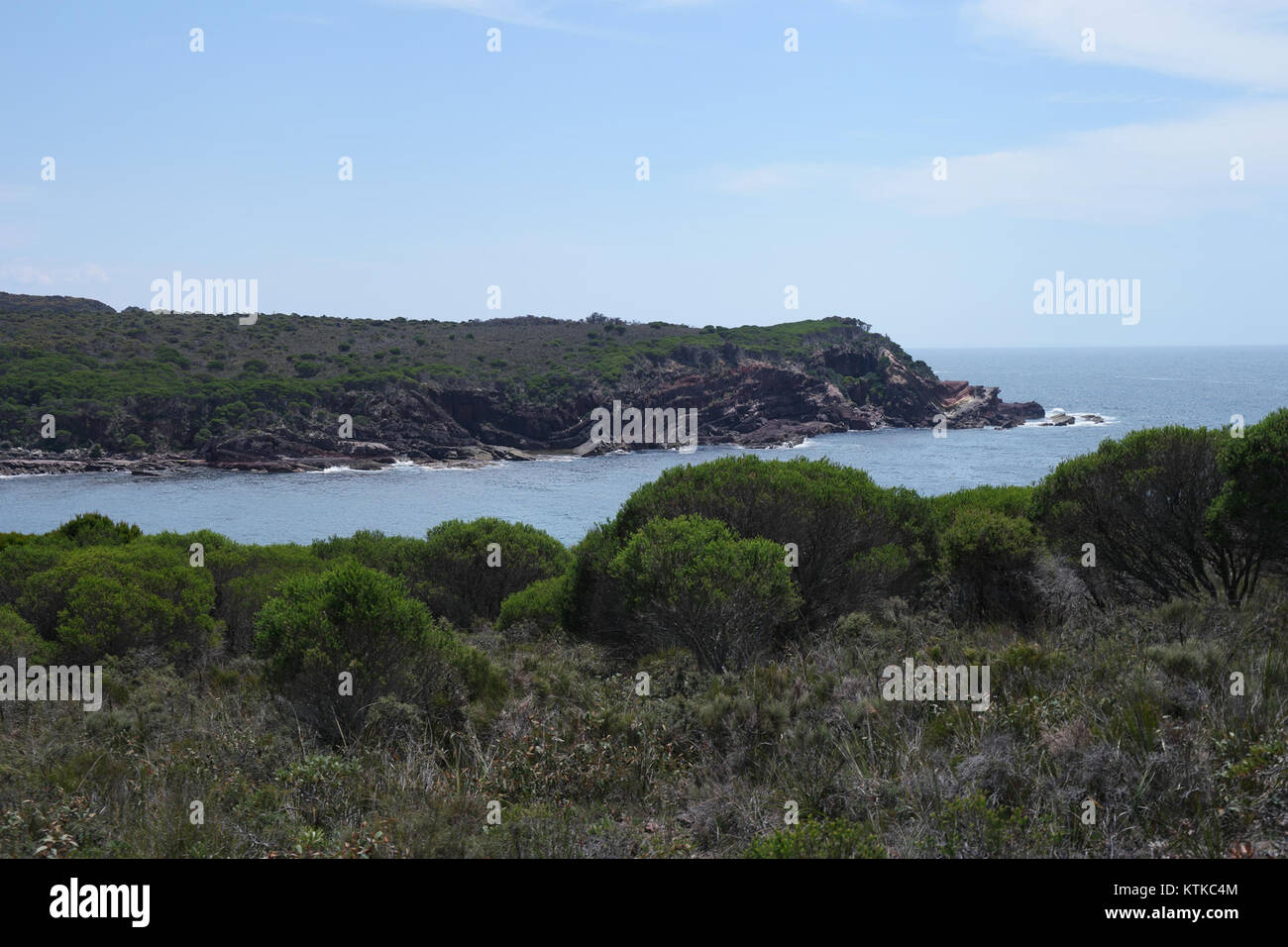 Ein Foto des Ben Boyd National Park in New South Wales, Australien. Dieses Naturschutzgebiet ist bekannt für seine vielfältigen Ökosysteme und seine natürliche Schönheit. Stockfoto
