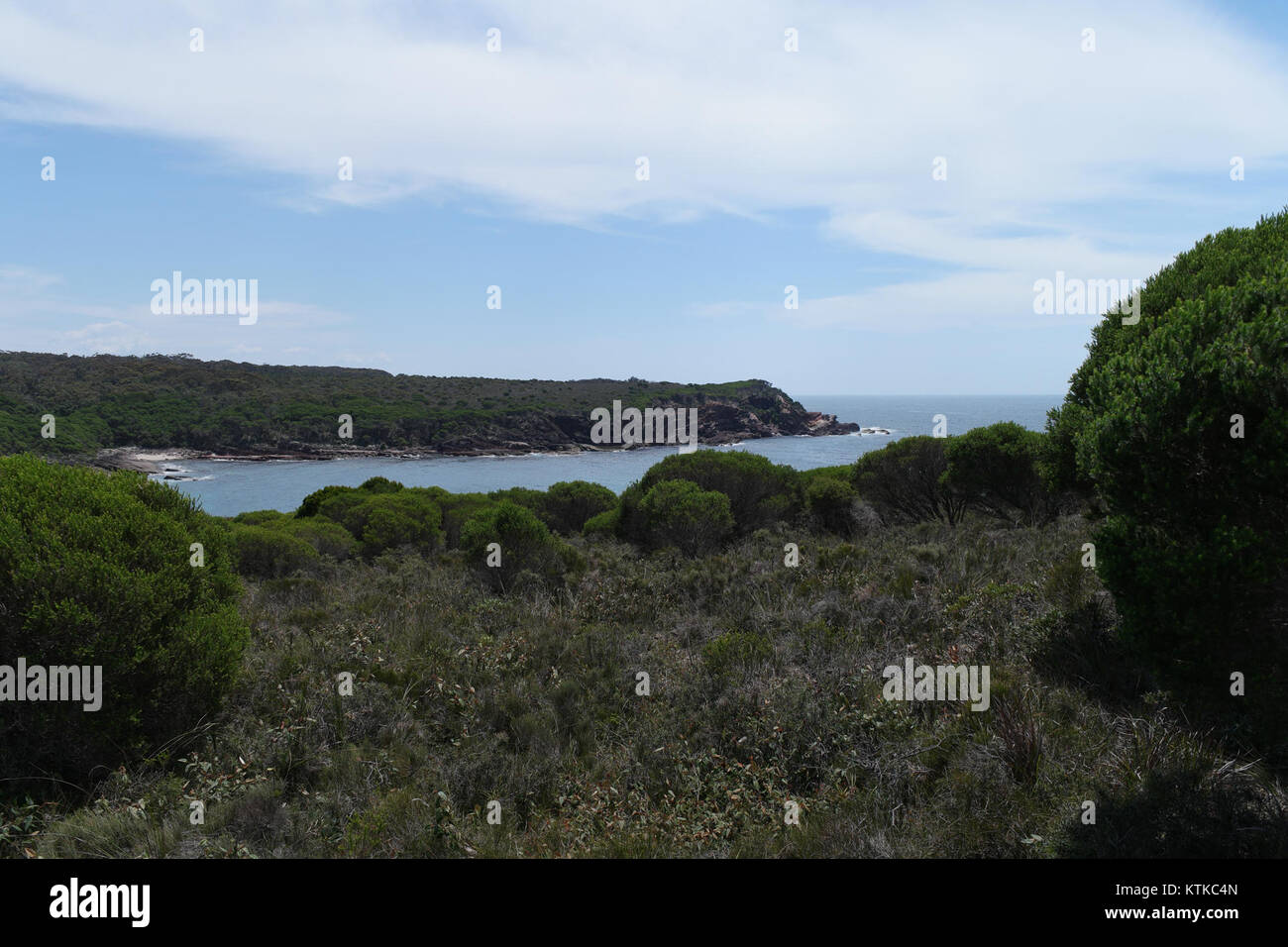 Der Ben Boyd National Park in New South Wales ist bekannt für seine vielfältigen Landschaften, darunter Küstenklippen, Regenwälder und eine reiche Artenvielfalt. Es ist ein bedeutender Ort für Naturschutz- und Naturliebhaber. Stockfoto