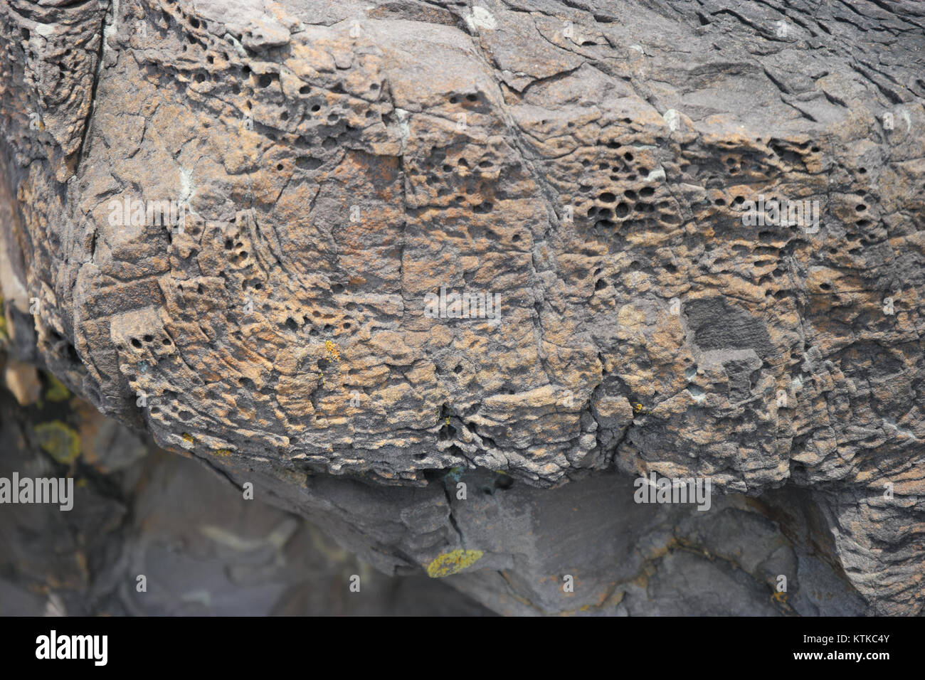 Der Ben Boyd National Park in New South Wales ist ein Küstenpark, der für seine natürliche Schönheit, seine Tierwelt und seine vielfältigen Ökosysteme bekannt ist. Stockfoto