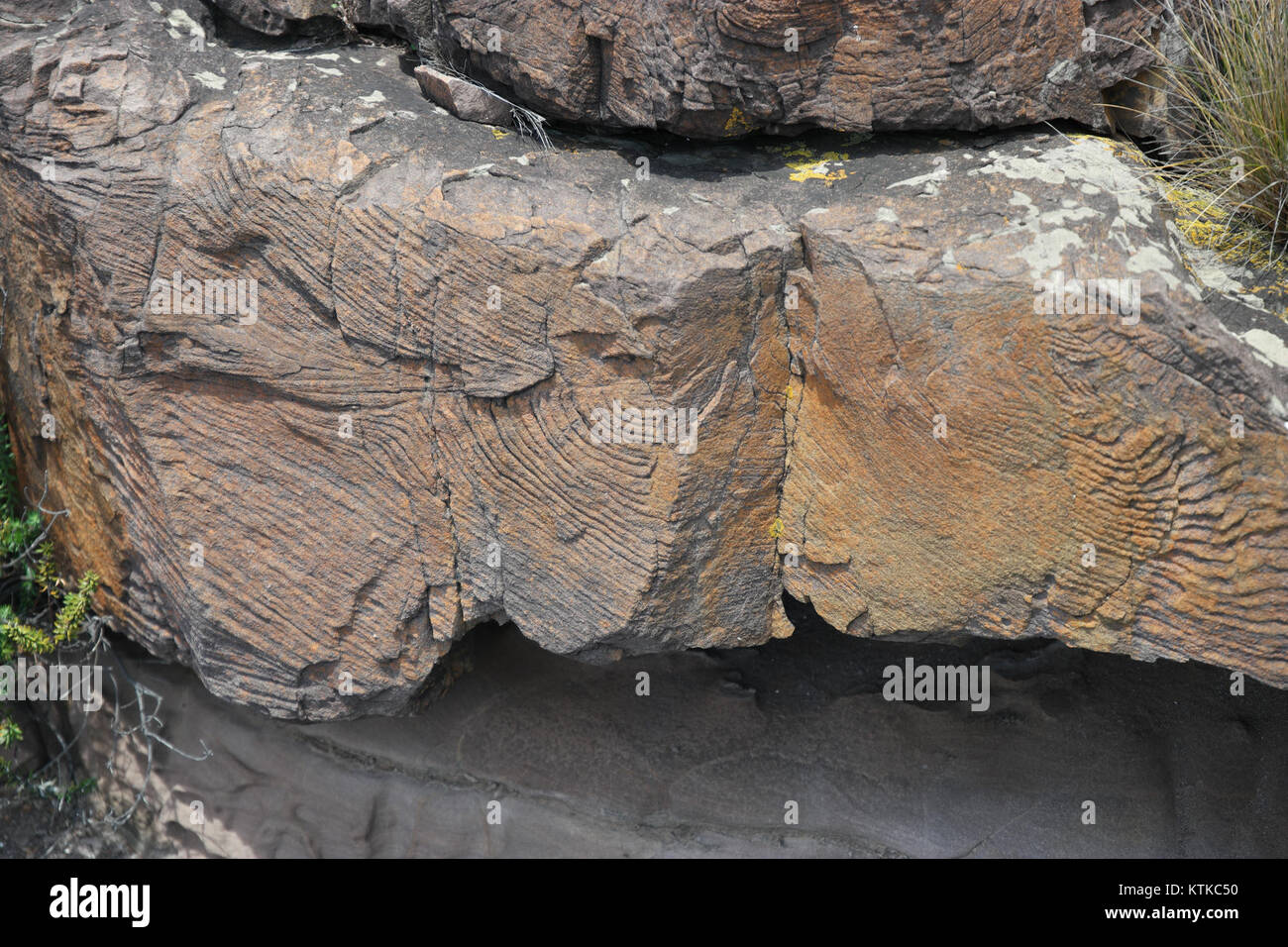 Der Ben Boyd National Park in New South Wales, Australien, ist bekannt für seine eindrucksvollen Küstenlandschaften und seine reiche Artenvielfalt. Der Park ist ein geschütztes Gebiet mit Lebensräumen für zahlreiche einheimische Arten. Stockfoto