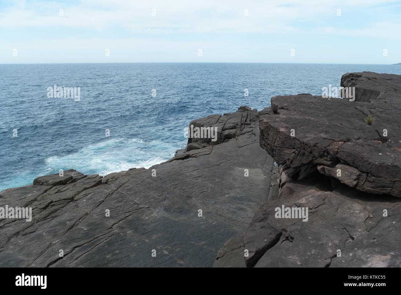 Der Ben Boyd National Park in New South Wales ist ein Naturschutzgebiet, das für seine natürliche Schönheit und Artenvielfalt bekannt ist und malerische Landschaften und Tierwelt bietet. Stockfoto