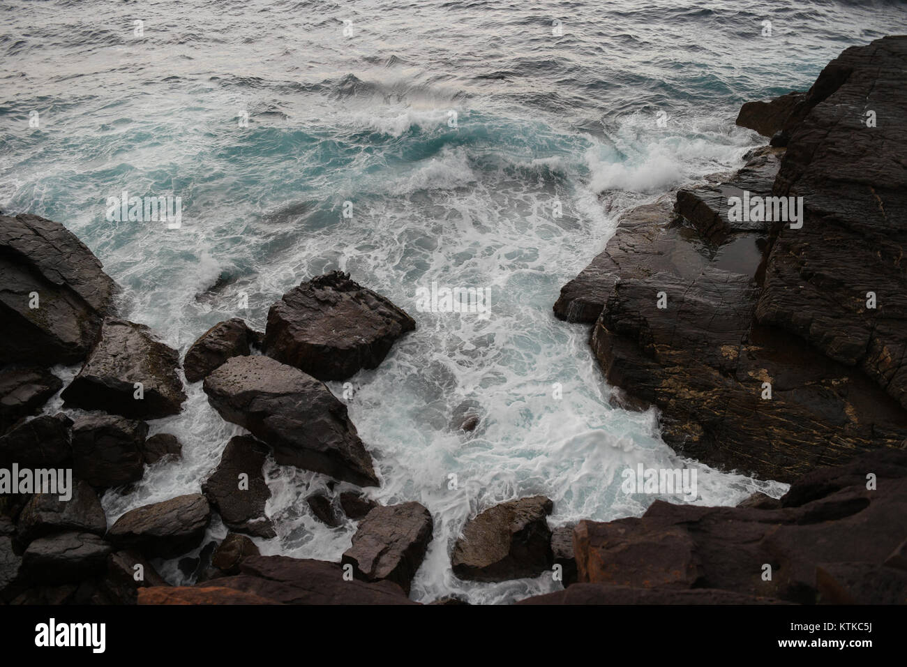 Der Ben Boyd National Park in New South Wales, Australien, ist bekannt für seine atemberaubende Küstenlandschaft und die vielfältige Tierwelt. Dieses Bild zeigt die natürliche Schönheit und den ökologischen Wert des Parks. Stockfoto