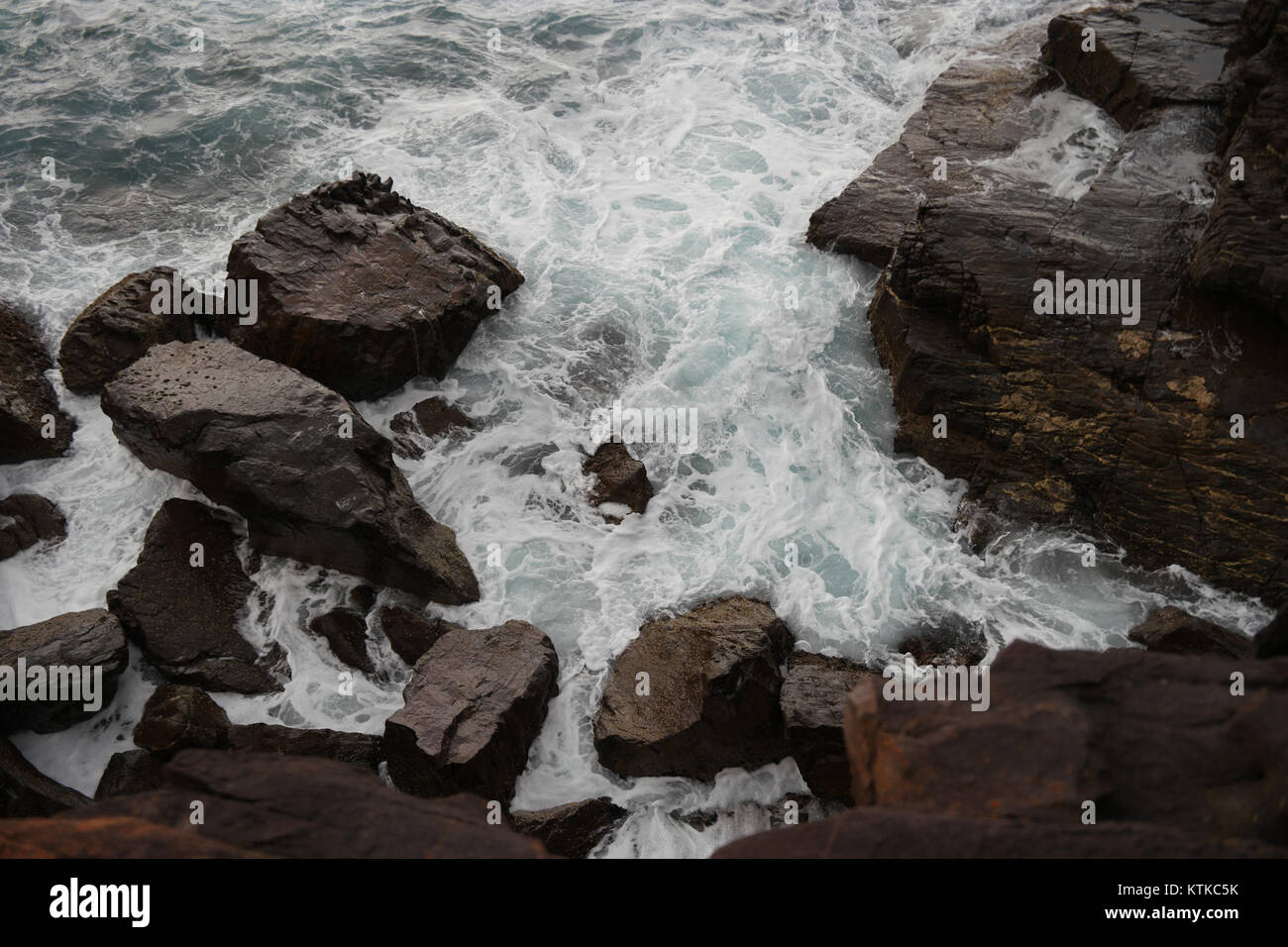 Der Ben Boyd National Park in New South Wales, Australien, ist bekannt für seine atemberaubenden Küstenklippen, seine reiche Artenvielfalt und seine natürliche Schönheit. Dieser Park ist für die Naturschutzbemühungen in der Region von Bedeutung. Stockfoto