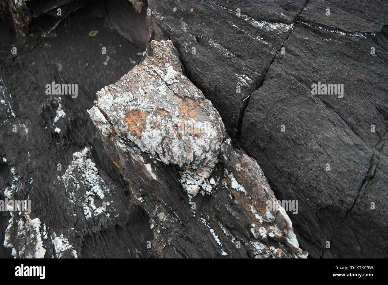 Der Ben Boyd National Park in New South Wales bietet vielfältige Landschaften, darunter Strände, Wälder und Klippen. Es ist bekannt für seine reiche Artenvielfalt und natürliche Schönheit, die Möglichkeiten zum Wandern, Camping und zur Beobachtung der Tierwelt bietet. Stockfoto