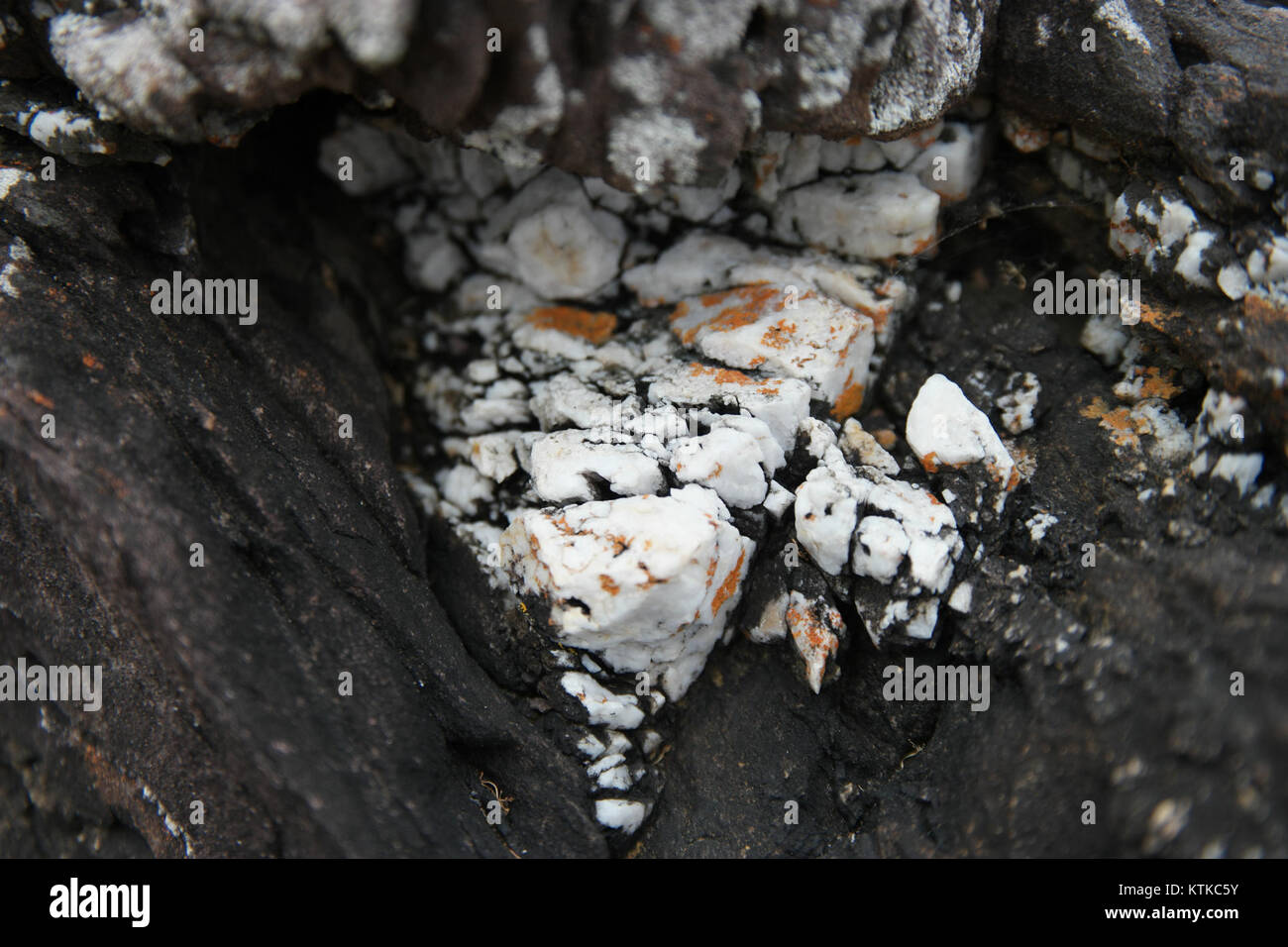 Der Ben Boyd National Park in New South Wales, Australien, ist bekannt für seine Schönheit an der Küste und die vielfältige Natur. Der Park ist ein beliebtes Ziel für Wanderungen, Tierbeobachtungen und Küstenerlebnisse. Stockfoto