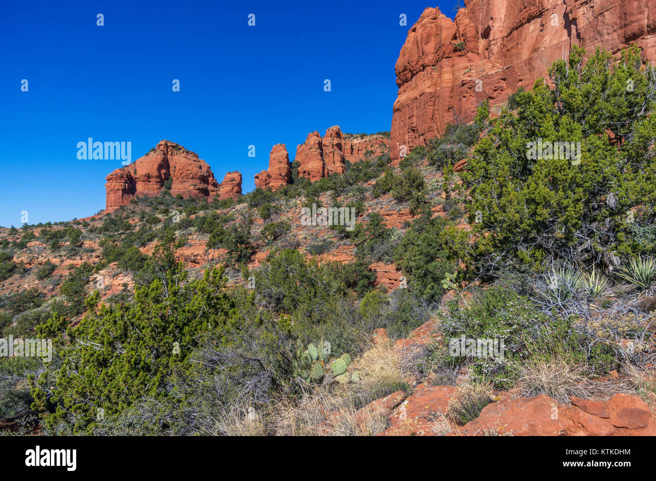 Bear Mountain Trail No. 54 ist eine beliebte Wanderroute im Bear Mountain State Park, New York, die malerische Ausblicke und Freizeitmöglichkeiten bietet. Stockfoto