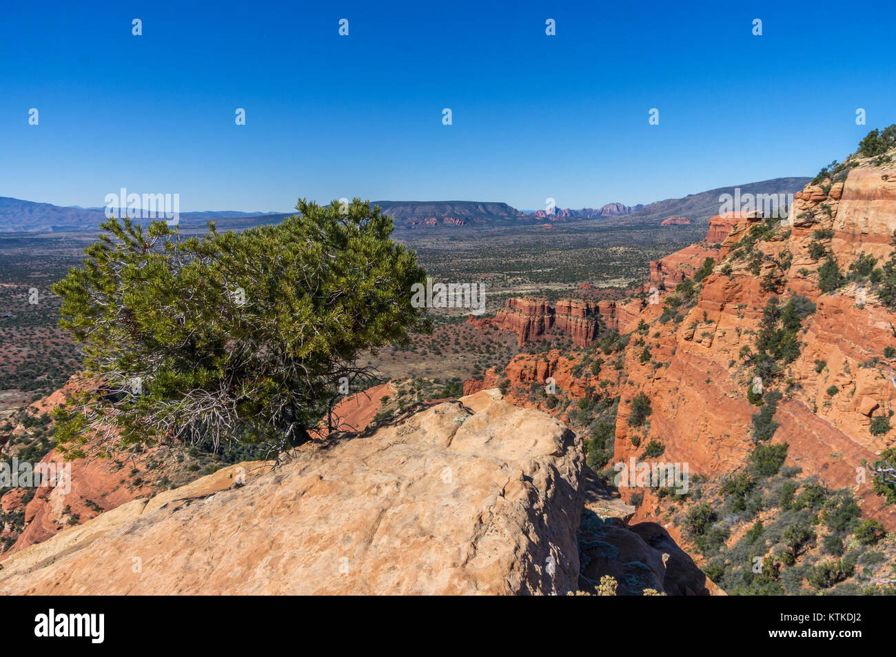 Bear Mountain Trail No. 54 ist ein beliebter Wanderweg im Bear Mountain State Park in New York, der für seine malerische Aussicht und sein anspruchsvolles Gelände bekannt ist. Stockfoto
