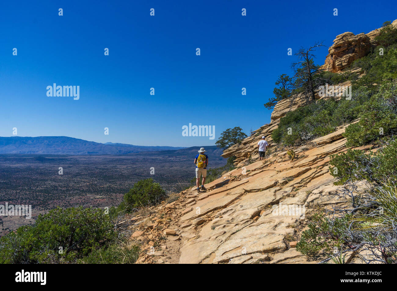Bear Mountain Trail No. 54 ist ein Wanderweg im Bear Mountain State Park, New York. Der Wanderweg bietet malerische Ausblicke und ist Teil des ausgedehnten Wandersystems des Parks. Stockfoto