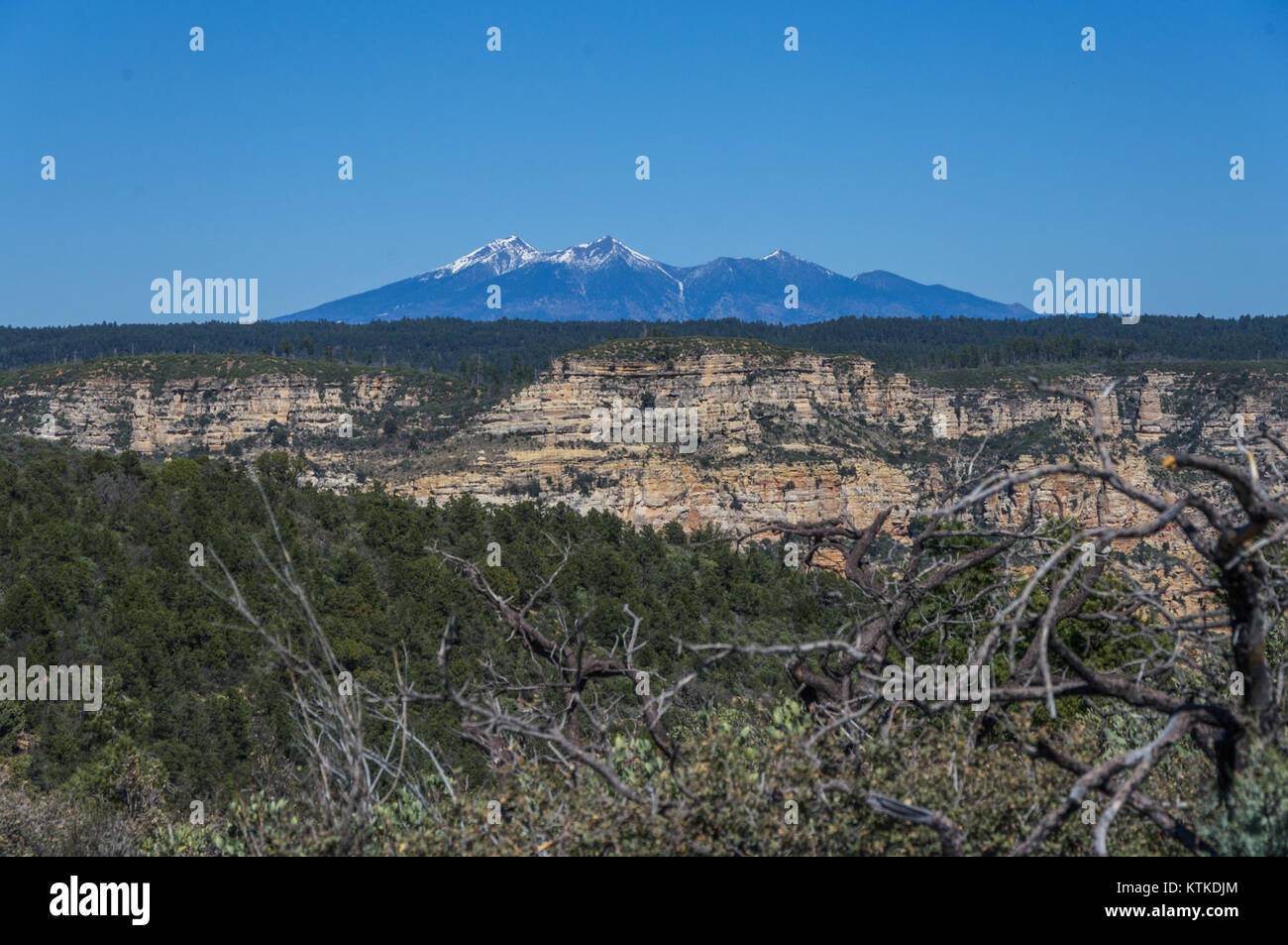 Bear Mountain Trail No. 54 ist ein beliebter Wanderweg im Bear Mountain State Park in New York. Bekannt für seine malerische Aussicht und seine natürliche Schönheit, zieht es Outdoor-Enthusiasten und Wanderer an. Stockfoto