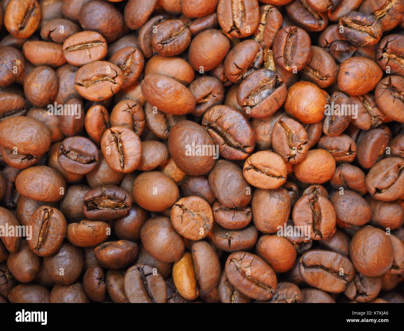 Frische Mischung der Kaffeebohnen Stockfoto